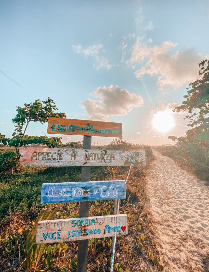 Lugar Praia de Maracaípe