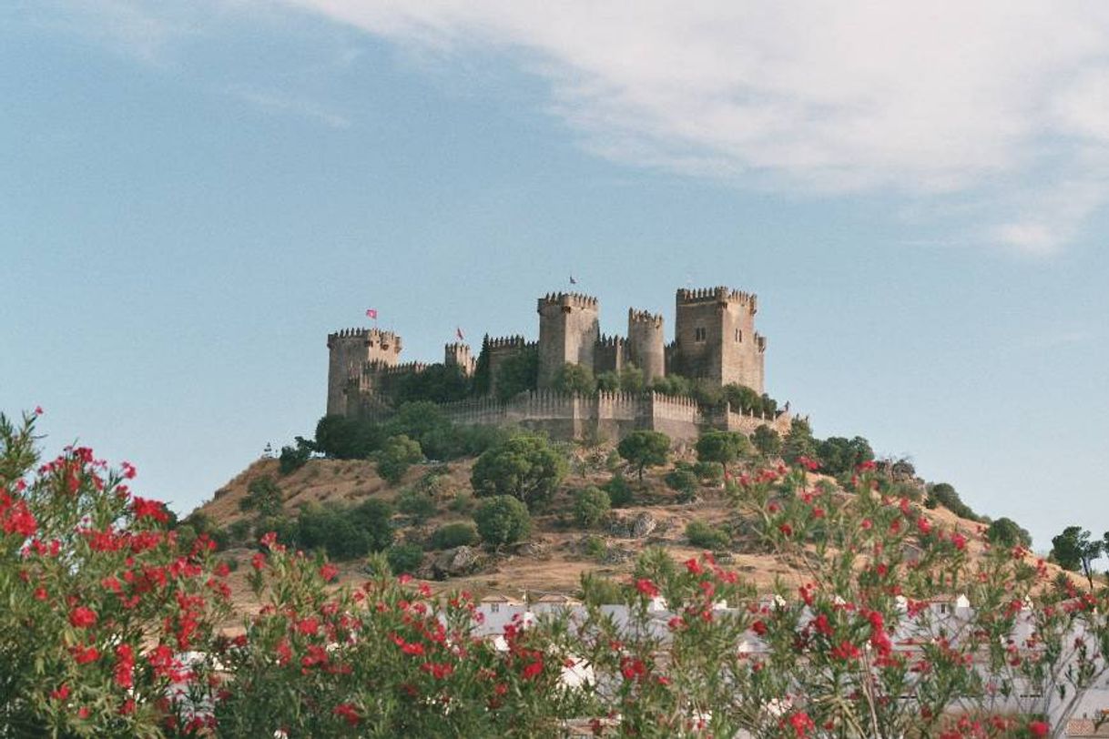 Place Castillo Almodóvar del Río