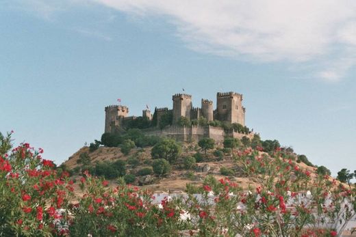 Castillo Almodóvar del Río