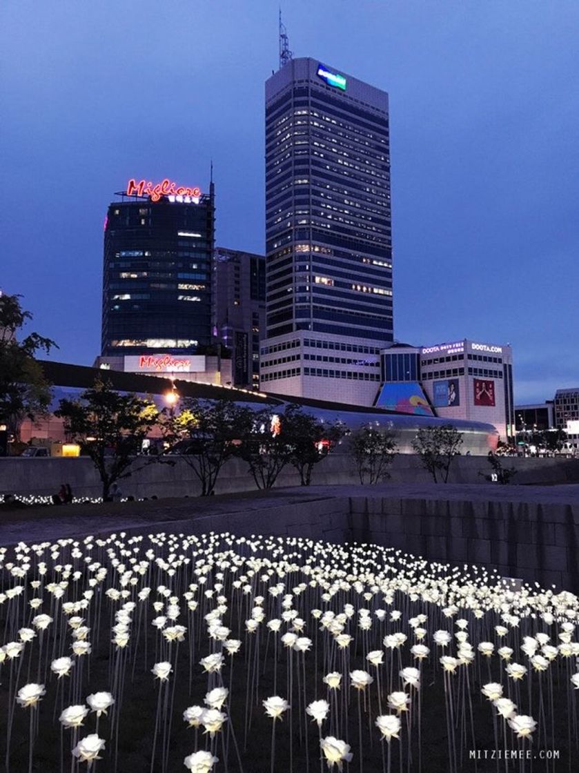 Moda Dongdaemun