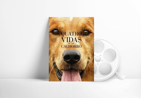Filme Quatro Vidas de um Cachorro