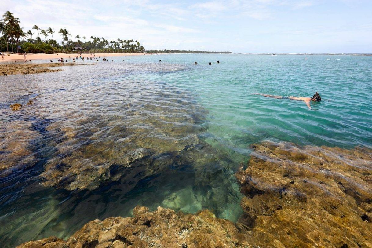 Place Taipu de Fora - Barra Grande