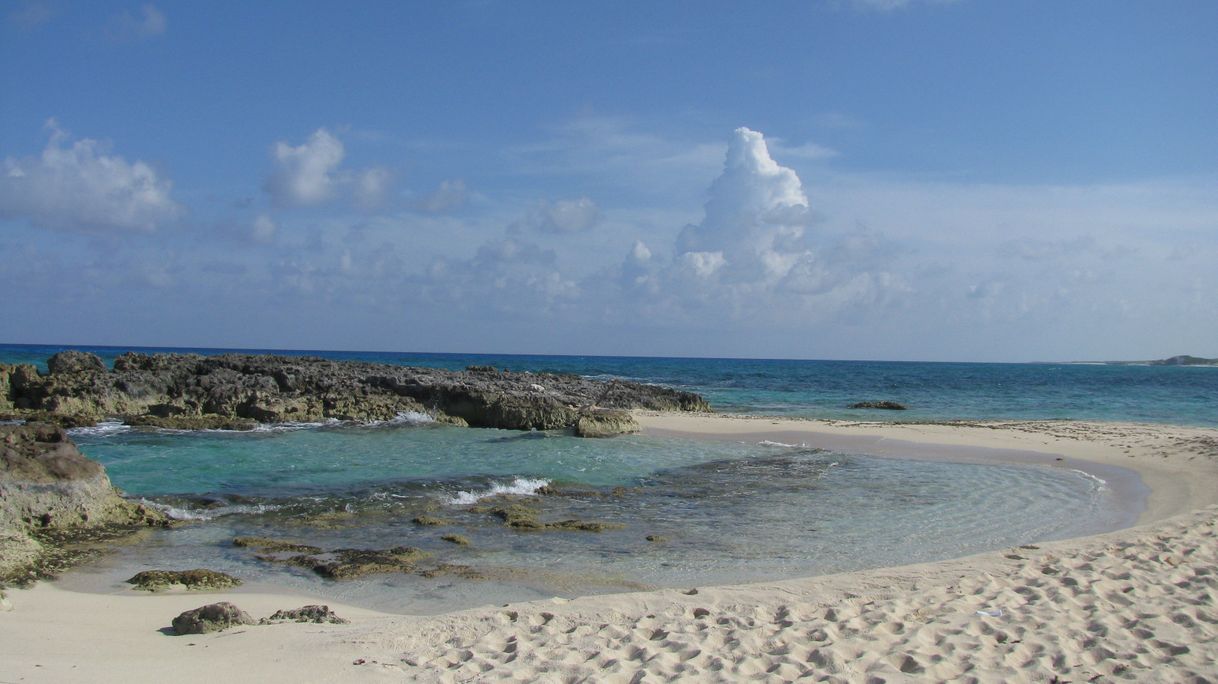 Lugar Playa Punta Morena