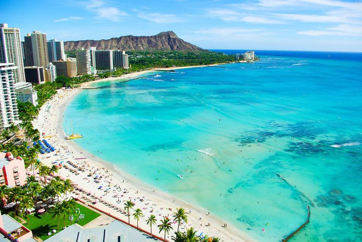 Place Waikiki