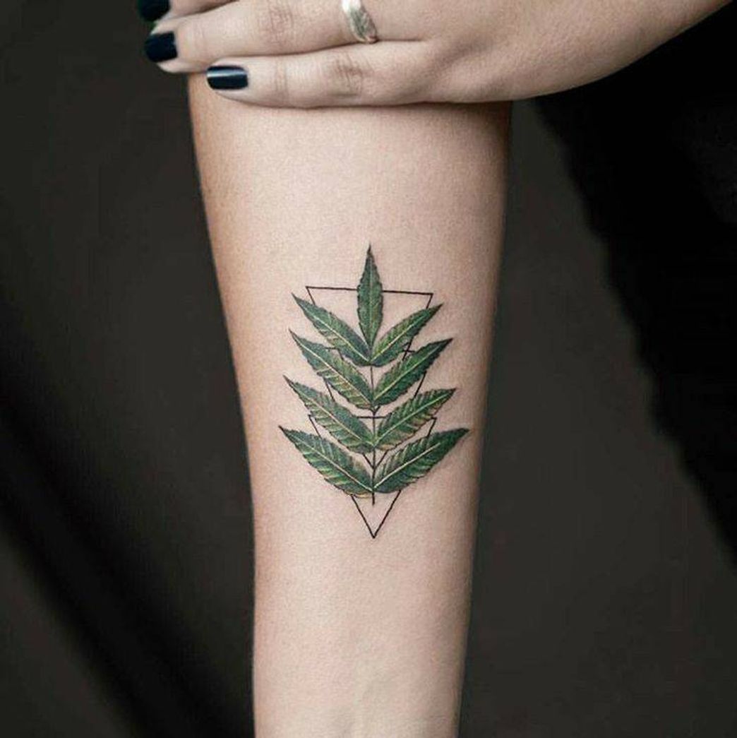 Moda Tatoo Green