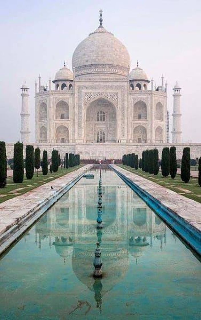 Moda Taj Mahal