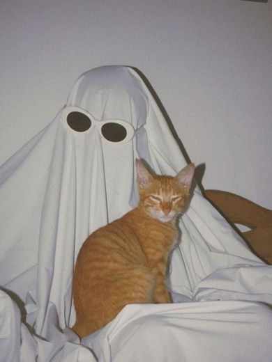 👻🐱