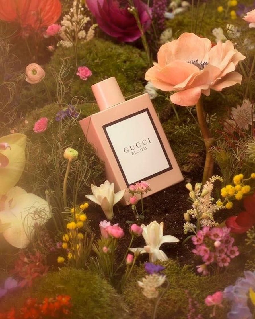 Moda New scent Gucci Bloom ...