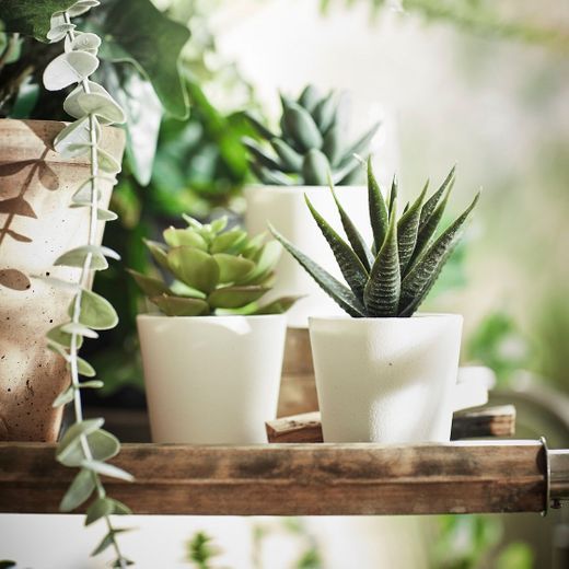 Ikea FEJKA - Juego de 2 Mini Plantas de Escritorio con ventosas