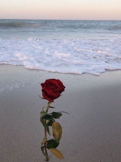 Rosas é o mar ❤️