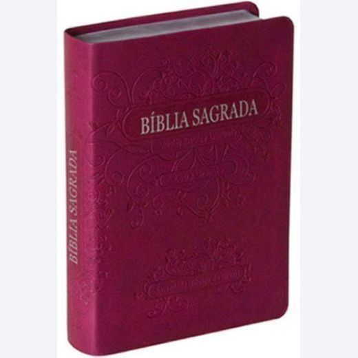 Biblia Sagrada: em português