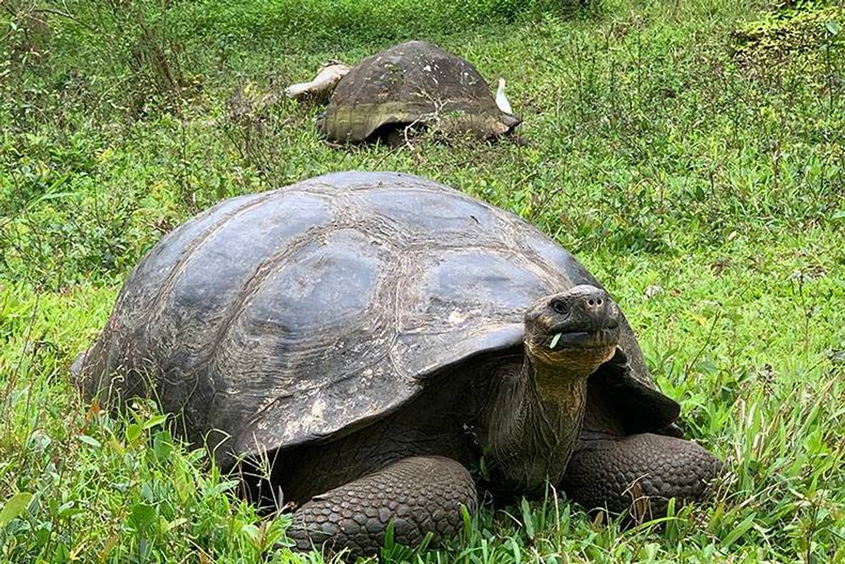 Place Galapagos Islands