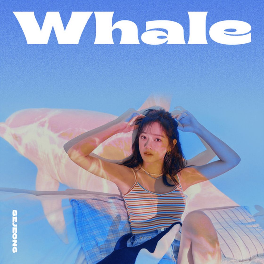 Canciones Whale