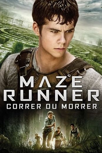 The Maze Runner