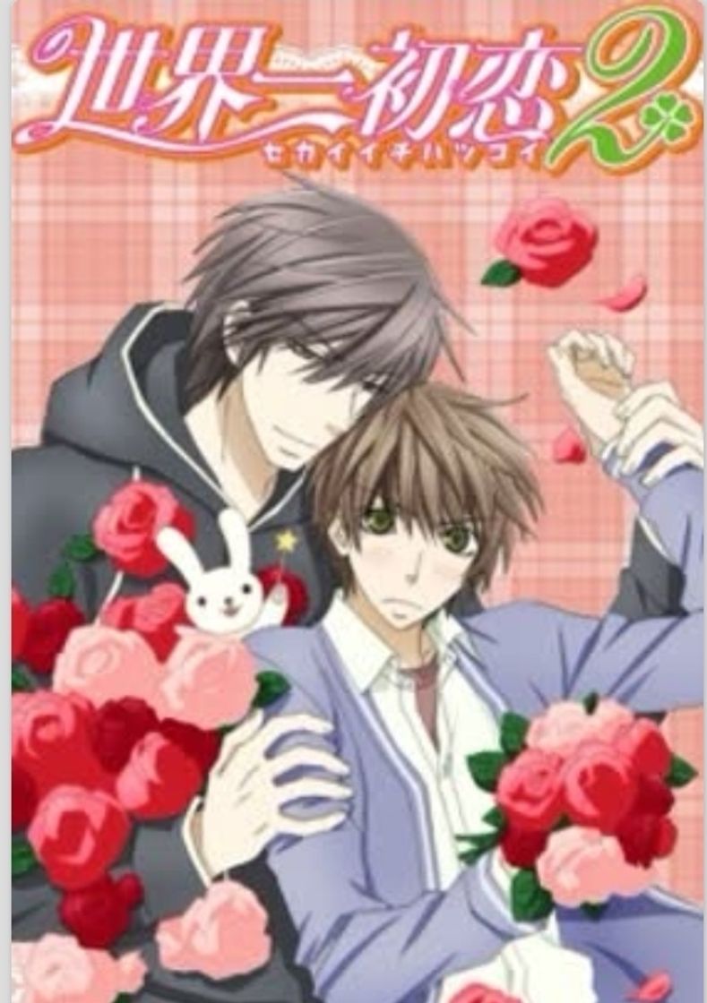 Serie Sekai ichi hatsukoi