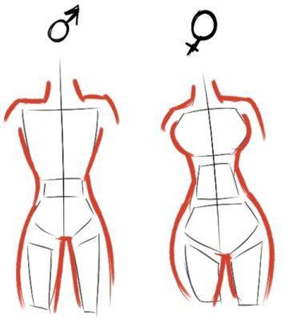 Moda Esboço de corpo