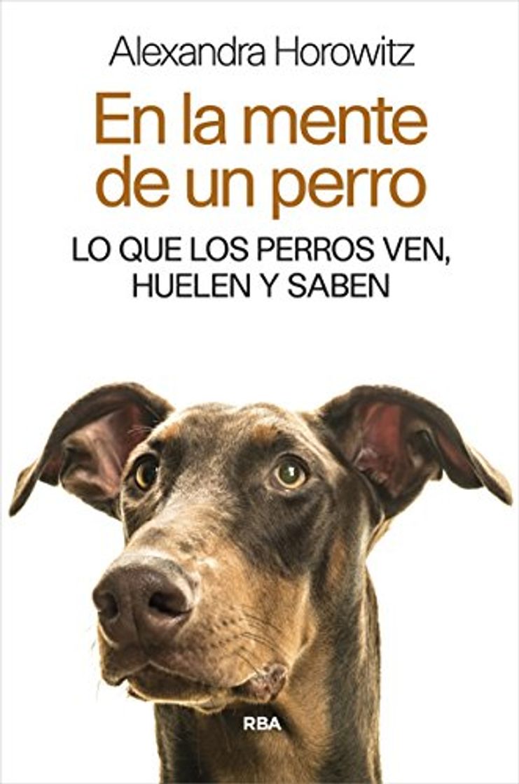 Libro En la mente de un perro