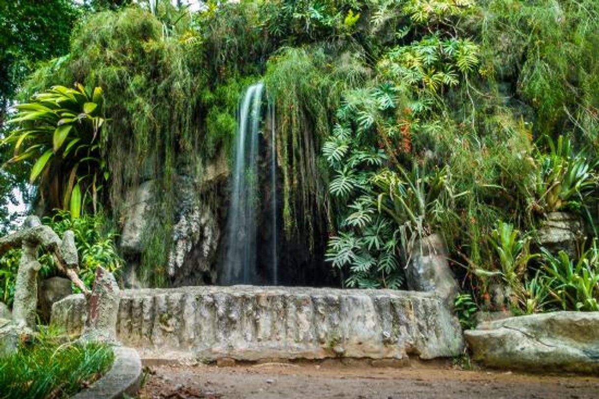 Place Parque Jardim da Luz