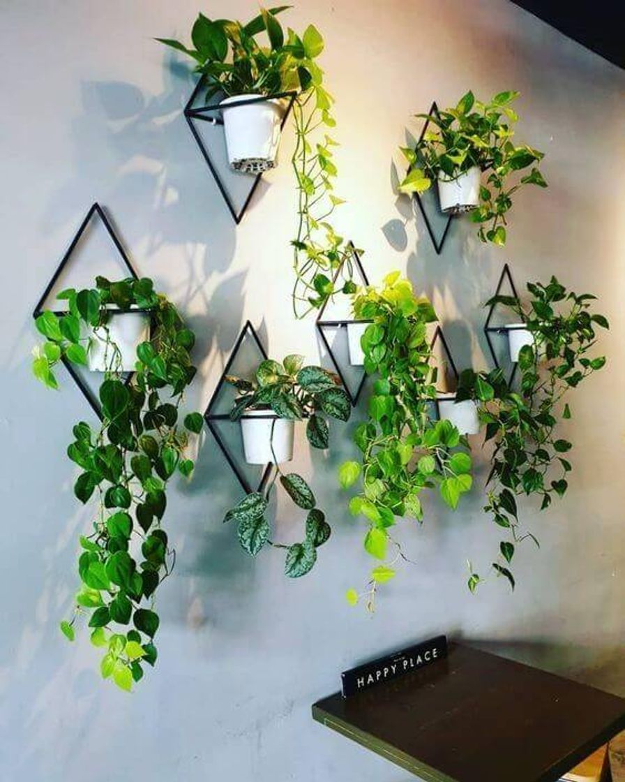 Moda Formas de decorar com as plantas 