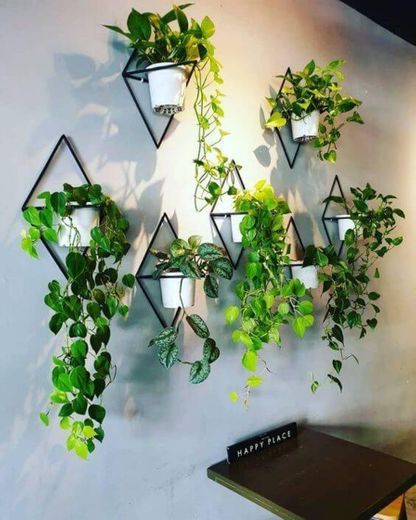 Formas de decorar com as plantas 