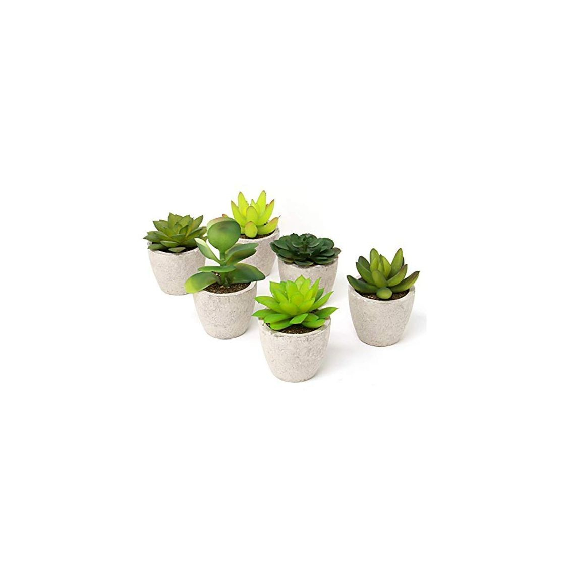 Home Maison & White Conjunto de 6 plantas artificiales suculentas