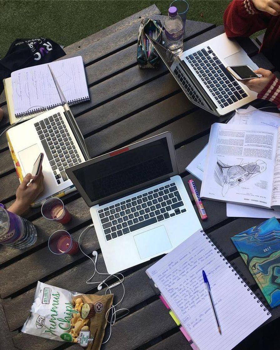 Social Study//work vibes