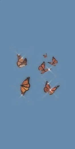 Butterfly Wallpaper 🦋