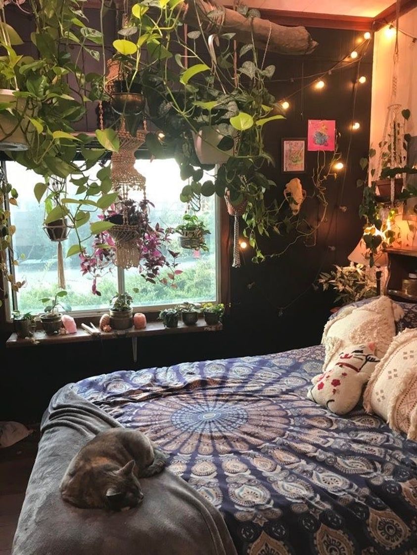 Social Bedroom ☁️