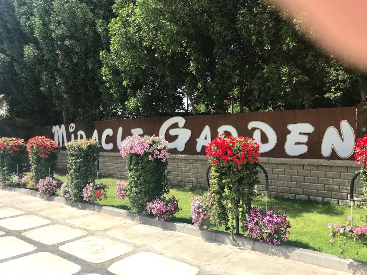 Lugar Miracle Garden