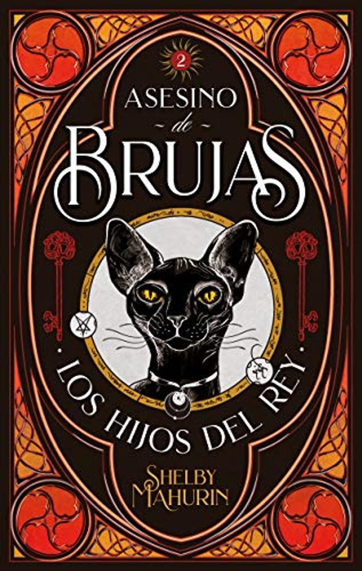 Book Asesino de brujas