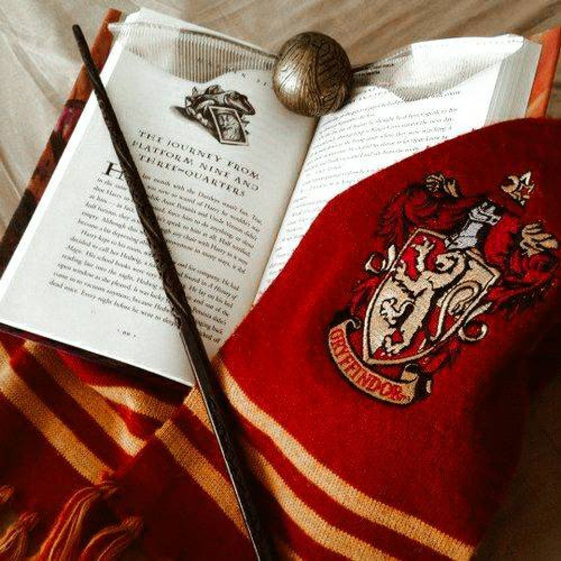 Social ❤🦁 𝙶𝚛𝚒𝚏𝚒𝚗𝚘𝚛𝚒𝚊 🦁❤ 