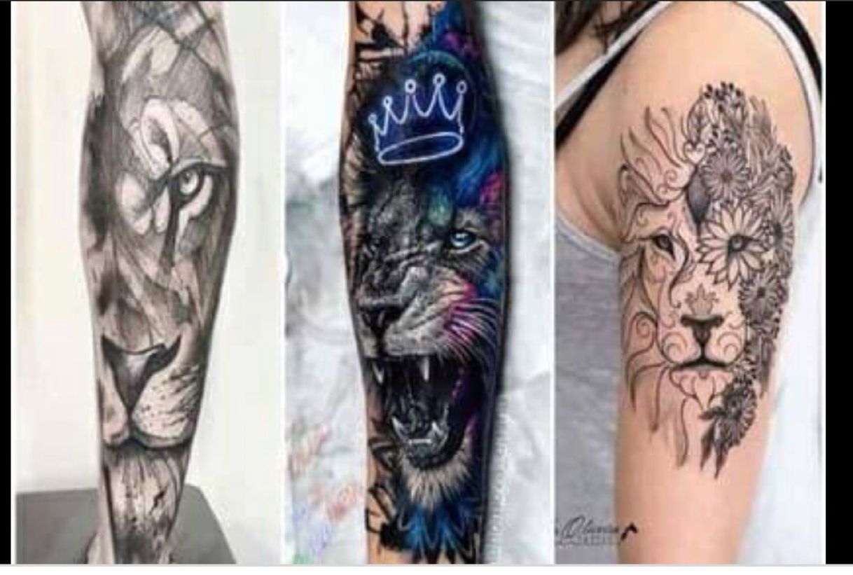 Fashion Tatuagem 