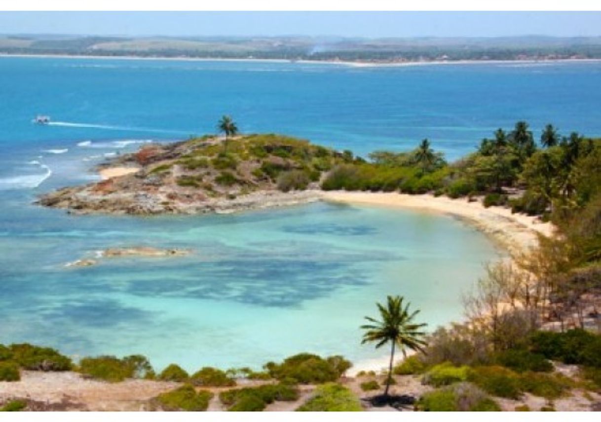 Lugar Ilha de Santo Aleixo