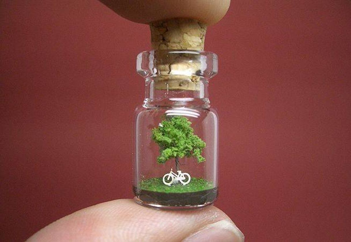 Moda Miniatura🚲