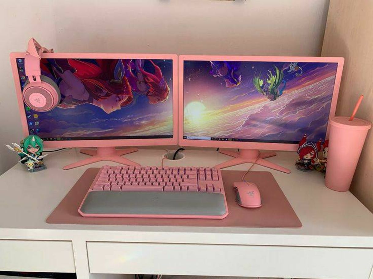Setup rosa 