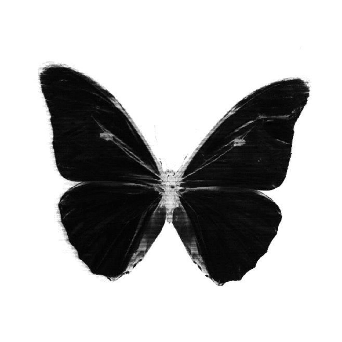 Music Sunday, Monday Or Always - Single Version