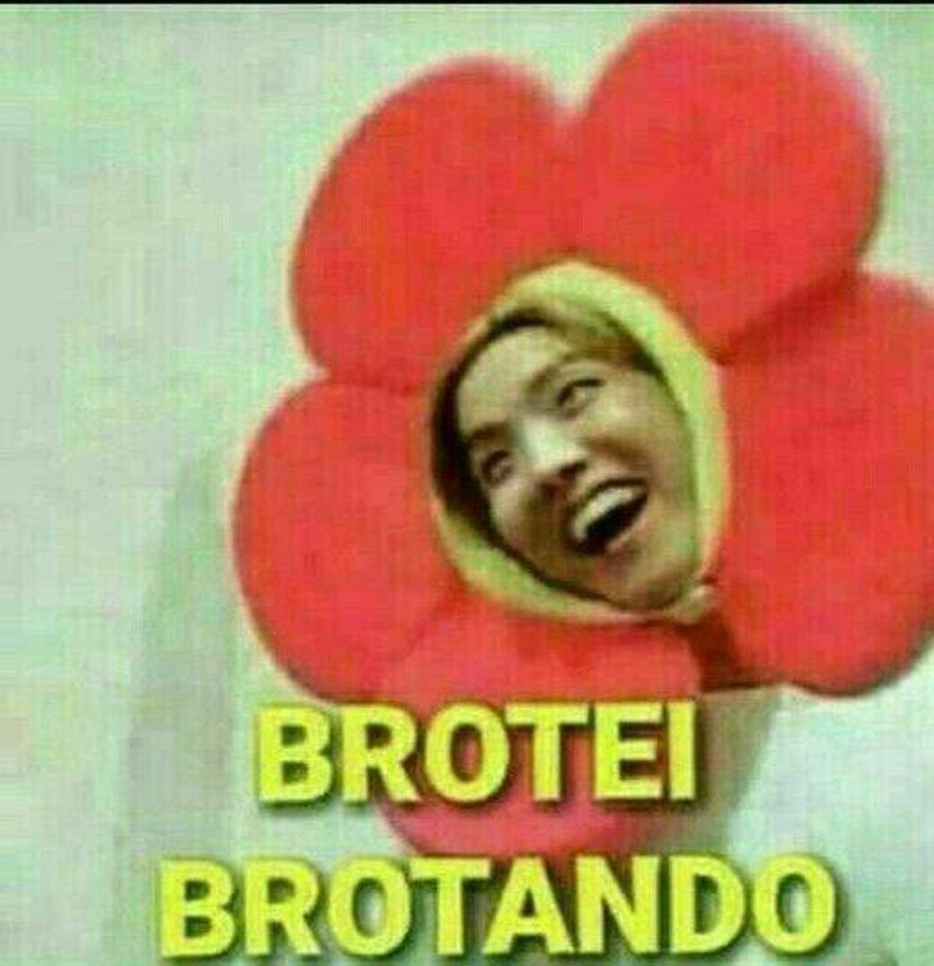 Moda Brotei