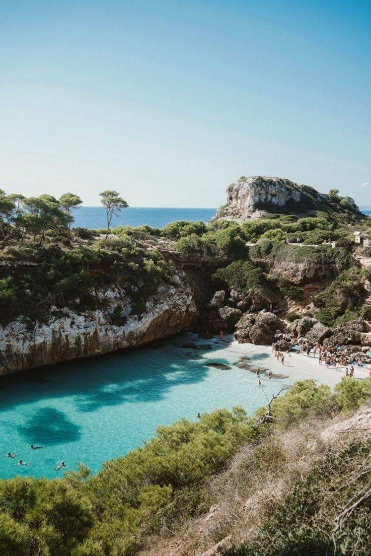 Lugar Palma de Mallorca