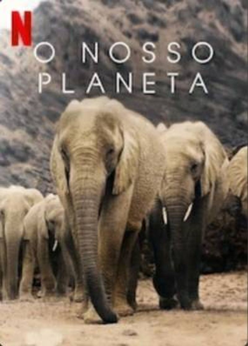 Movie Our Planet | Netflix Official Site