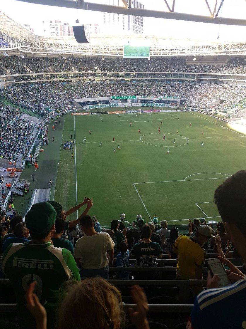 Moda Shows e futebol.