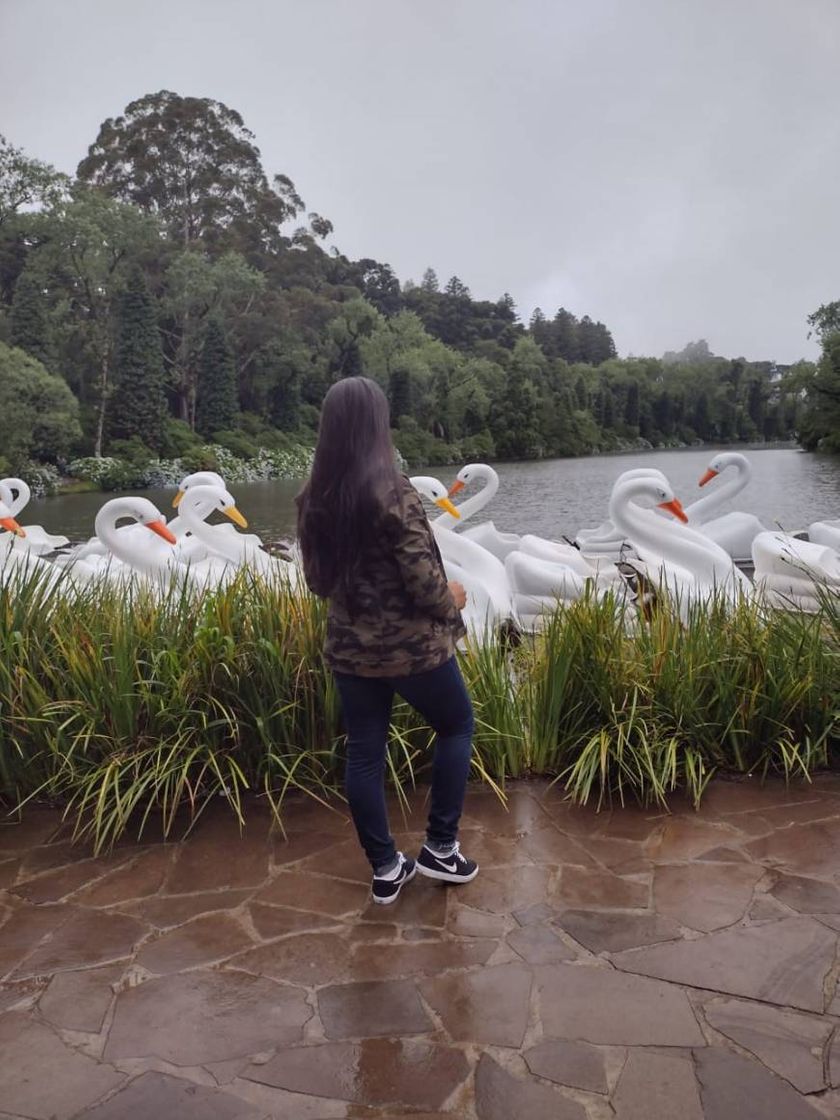 Fashion Lago Negro 🦢