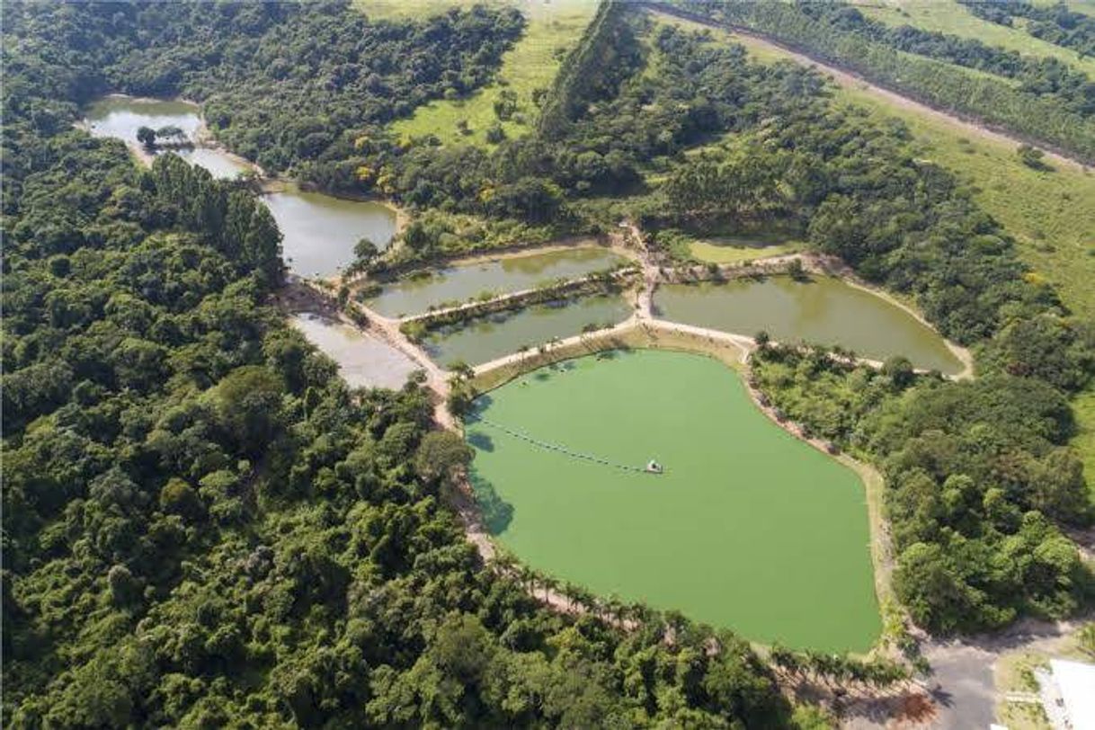 Lugares Parque Maeda