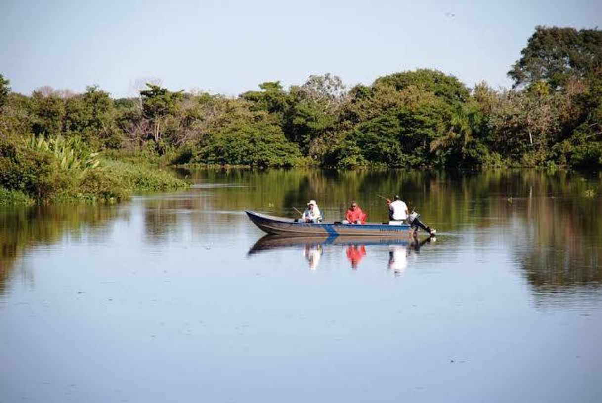 Lugar Pantanal