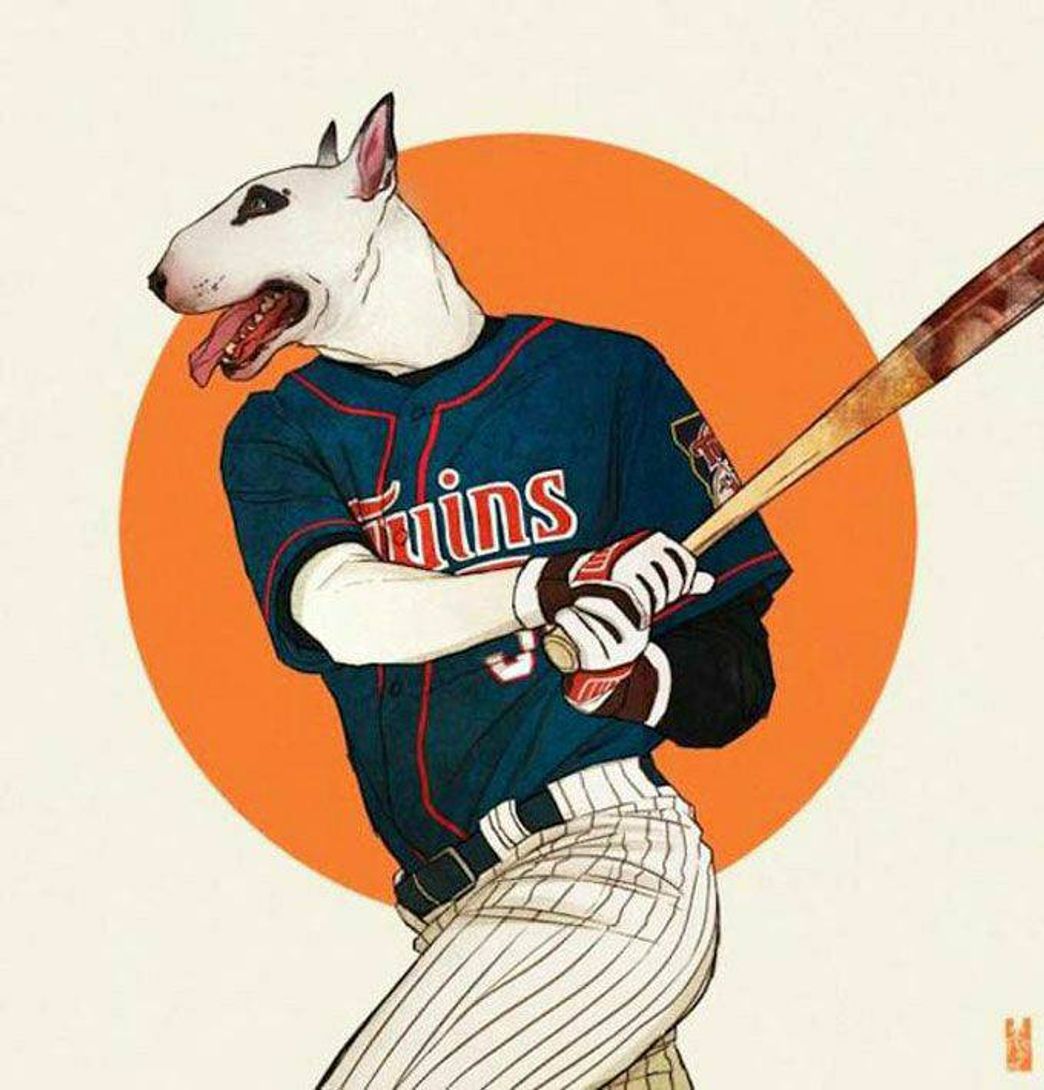 Fashion Bull Baseball