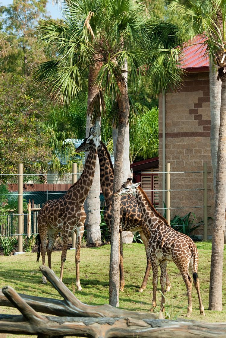 Place Zoológico de Houston