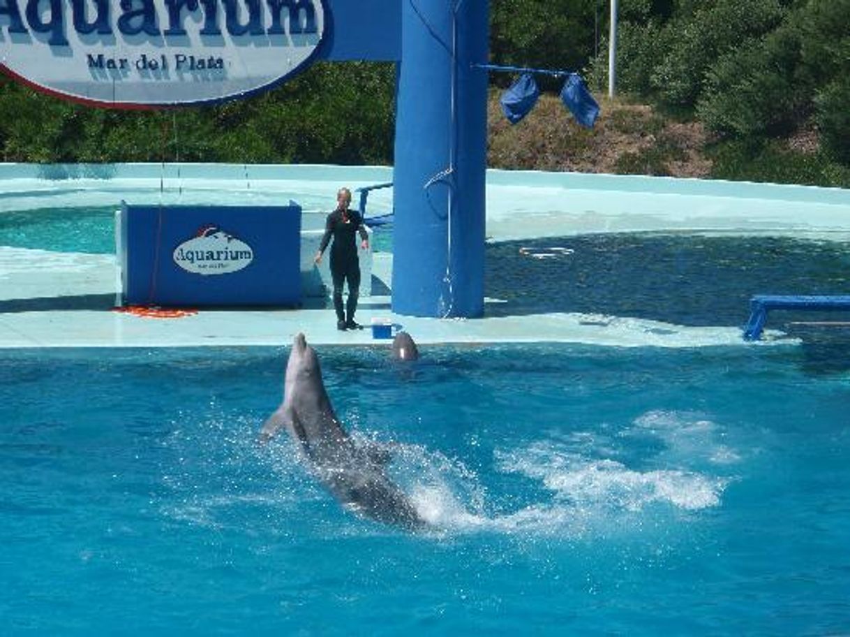 Lugares Acuario Los Delfines