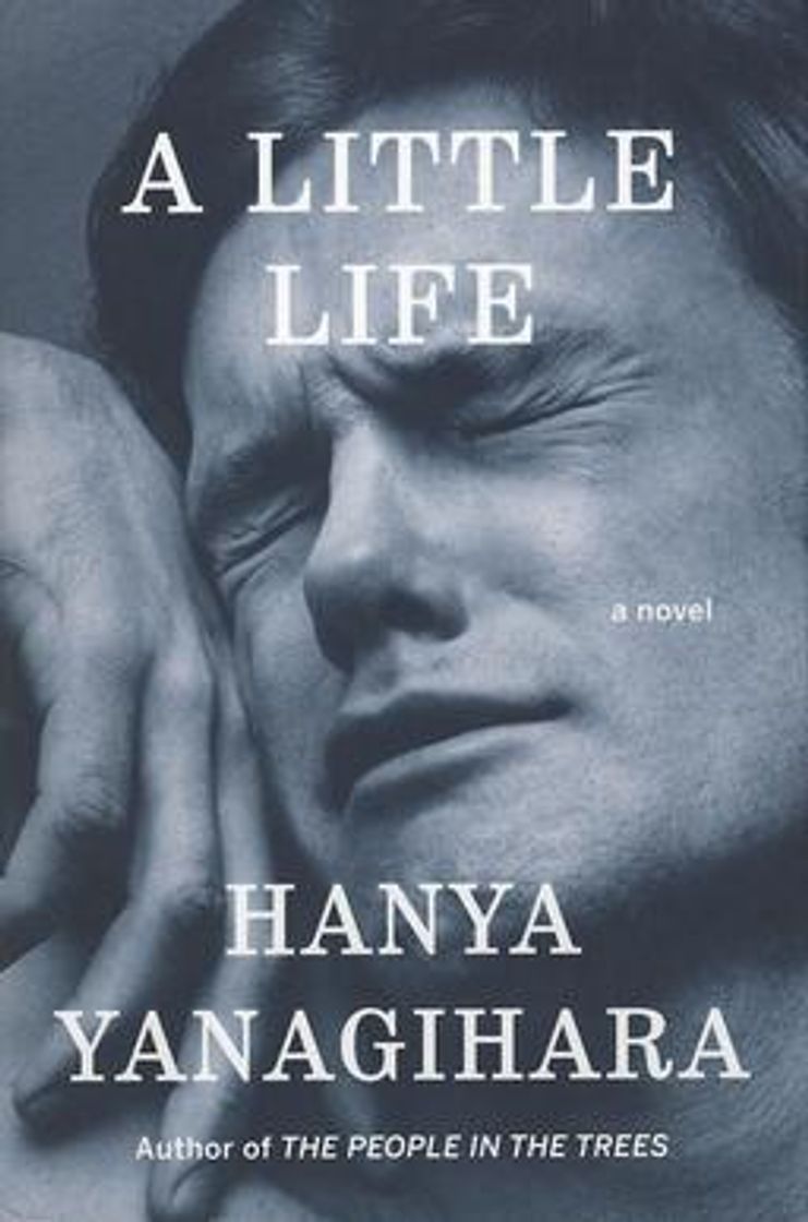 Book A Little Life