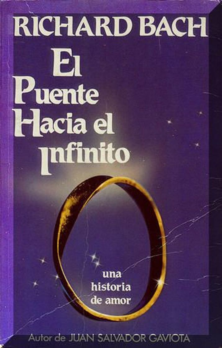 Libro El puente hacia el infinito: Una singular historia de amor