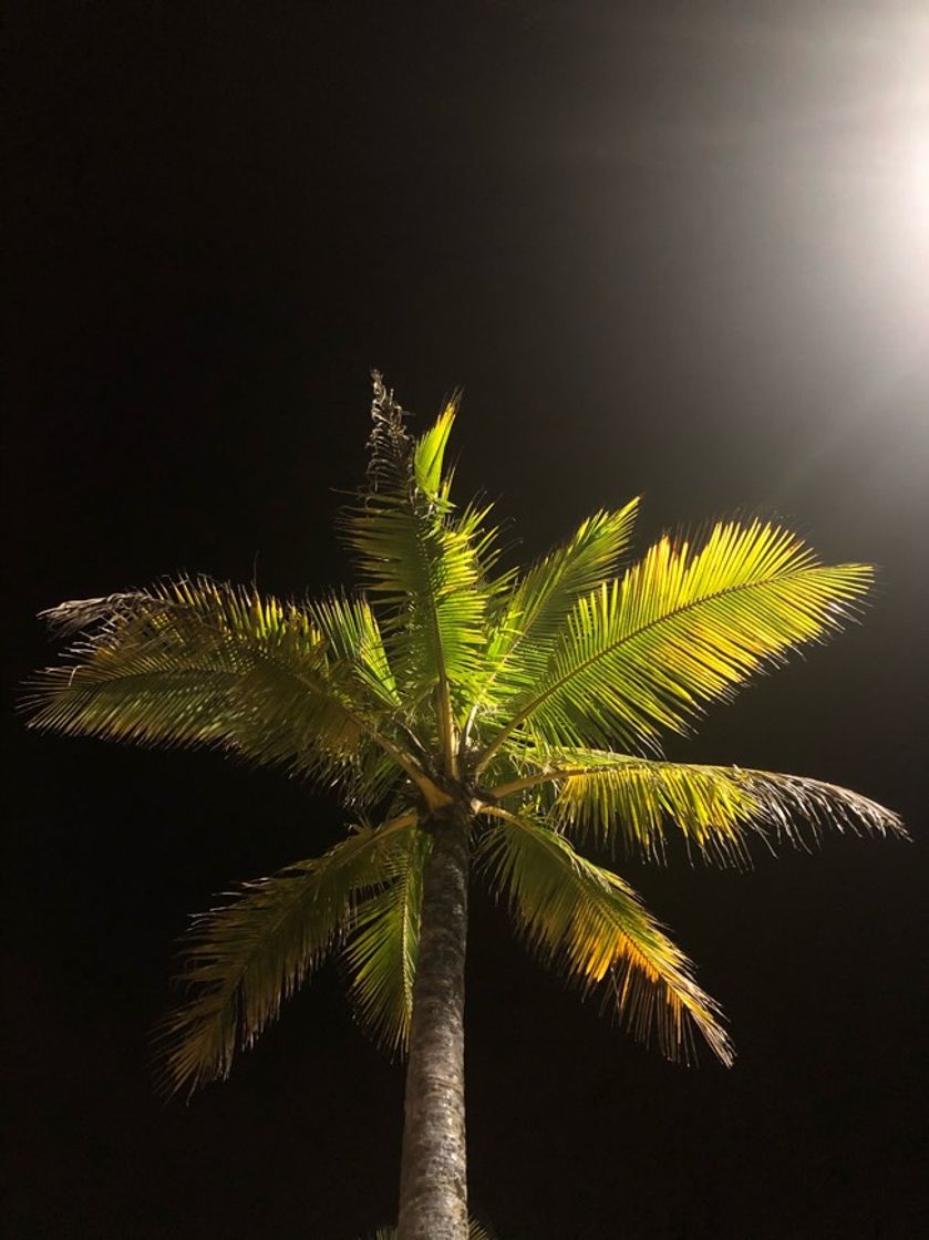 Praia Grande - SP