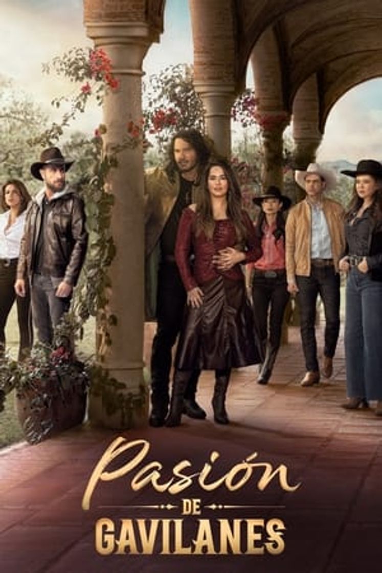 Serie Pasión de gavilanes